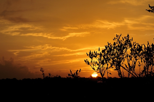 Ashley Prairie Sunrise.JPG